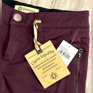 Democracy Ab Technology Burgundy Jeggings, Size 4
